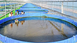 水产养殖行业测量仪表丨液位/水位测量/料位开关丨HBRD雷达液位计